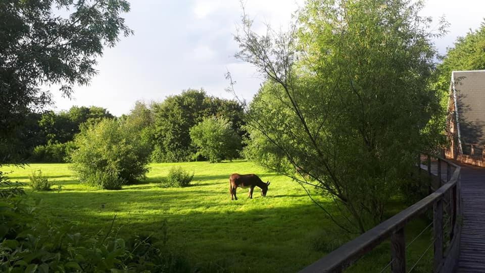 La Petite Motte Villa Ceton Kültér fotó